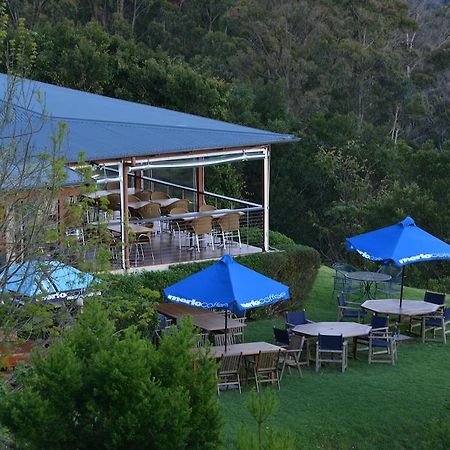 Spring Creek Mountain Cafe & Cottages Killarney Экстерьер фото
