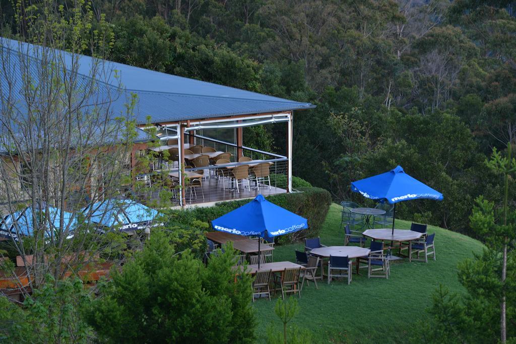 Spring Creek Mountain Cafe & Cottages Killarney Экстерьер фото