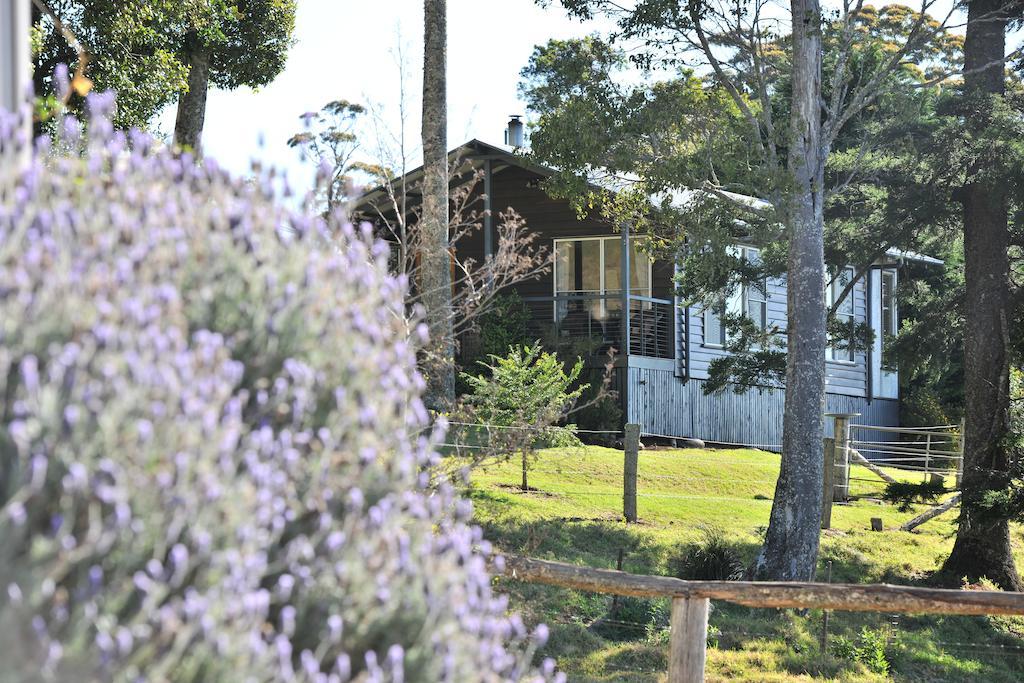 Spring Creek Mountain Cafe & Cottages Killarney Экстерьер фото