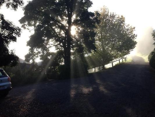 Spring Creek Mountain Cafe & Cottages Killarney Номер фото